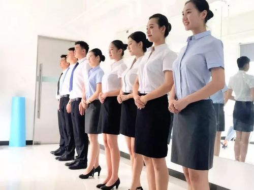 皇桥教育旗下云启教育咨询 赋能未来，连接全球教育资源